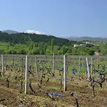 Spacius Villa, Heated Pool, Near Makarska And Split Grubine