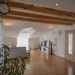 Vila Spacius Villa, Heated Pool, Near Makarska And Split Grubine